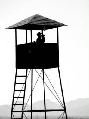 Tower.jpg